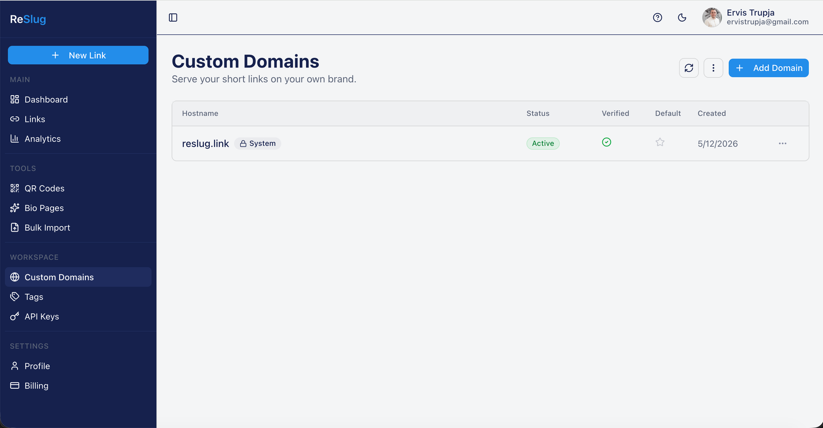 Reslug Custom Domains page showing the default reslug.link system domain as Active and Verified, with an Add Domain button in the top right