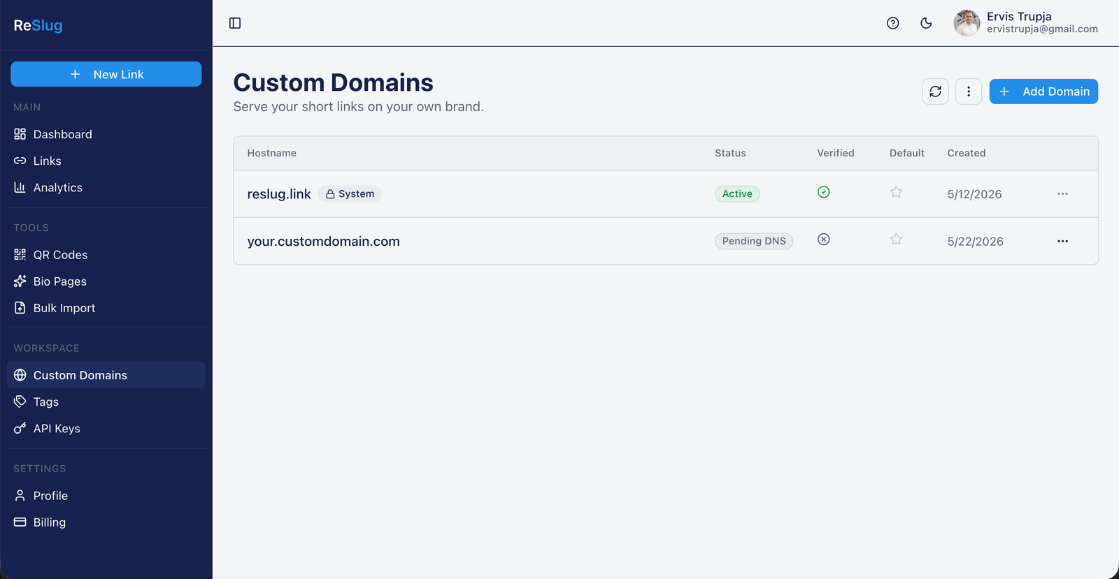 Custom Domains list now showing two rows: the active reslug.link system domain and the new your.customdomain.com row with status Pending DNS
