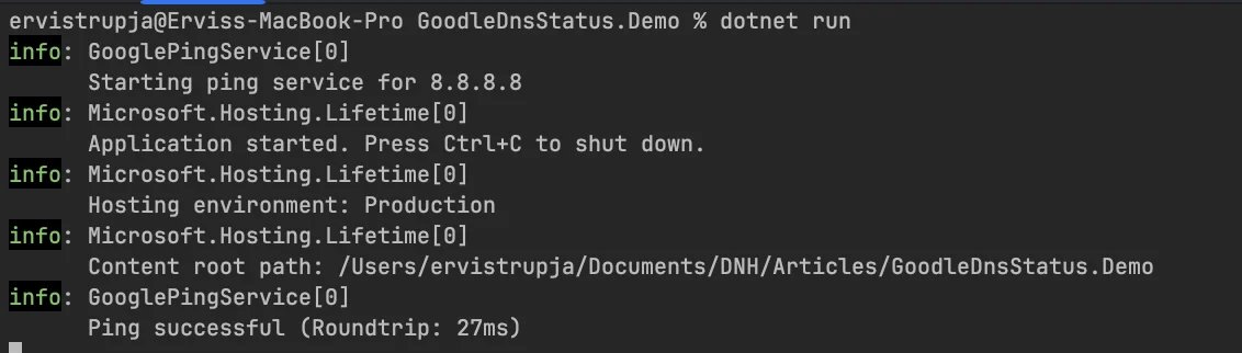Application startup messages showing service starting